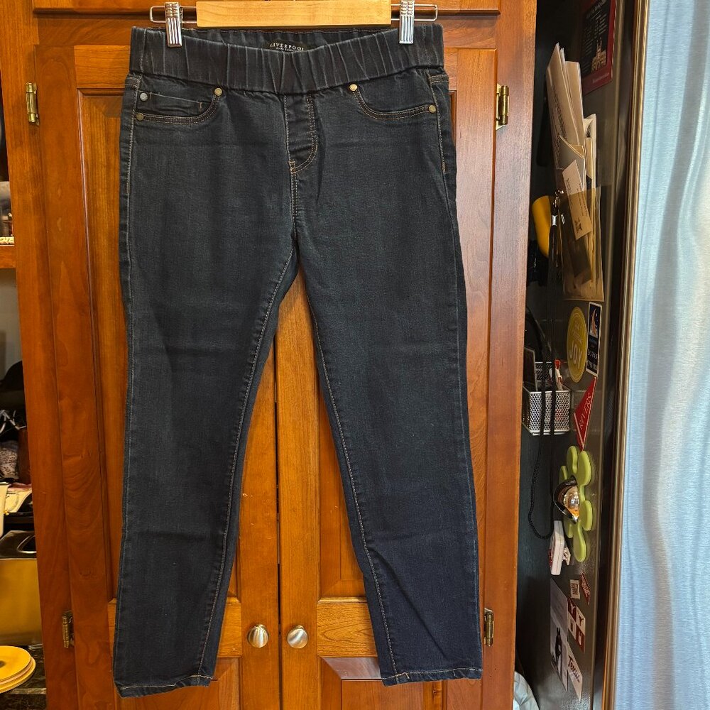 Liverpool Denim Legging Indigo Rinse 6 Petite Pull on
